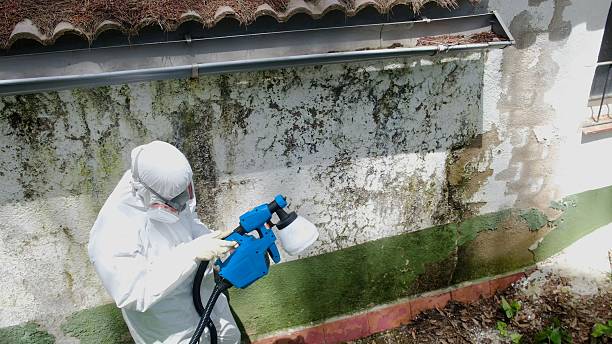 Top rated local Commercial Mold Remediation specialists in Woodsboro, MD
